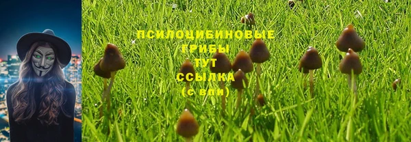 ешки Почеп