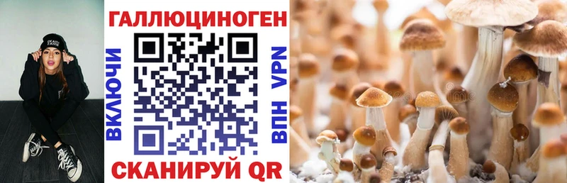 Галлюциногенные грибы ЛСД  Юрьевец 